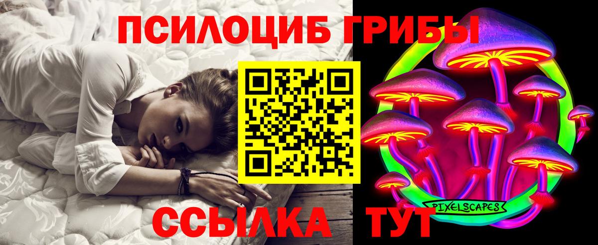 Коряжма  Галлюциногенные грибы мухоморы  Вход с VPN 